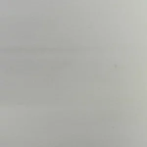 6810